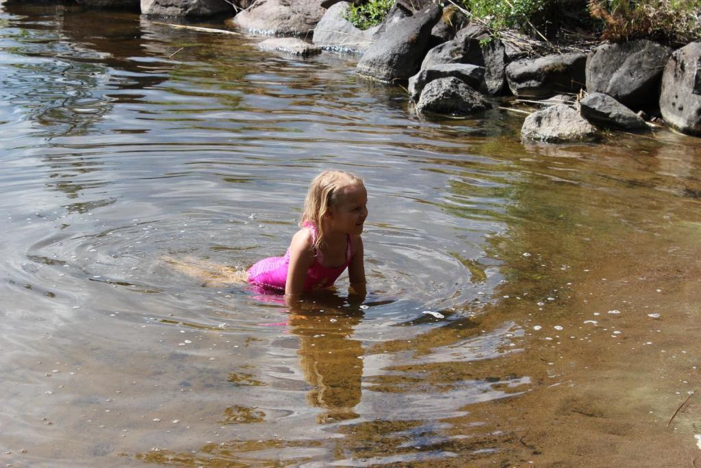 Accommodation And Fishing Vonkale Aanekoski Ngoại thất bức ảnh